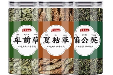 邯郸锦玉中学九年级上开学测物理试卷